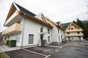 Apartment Bistra